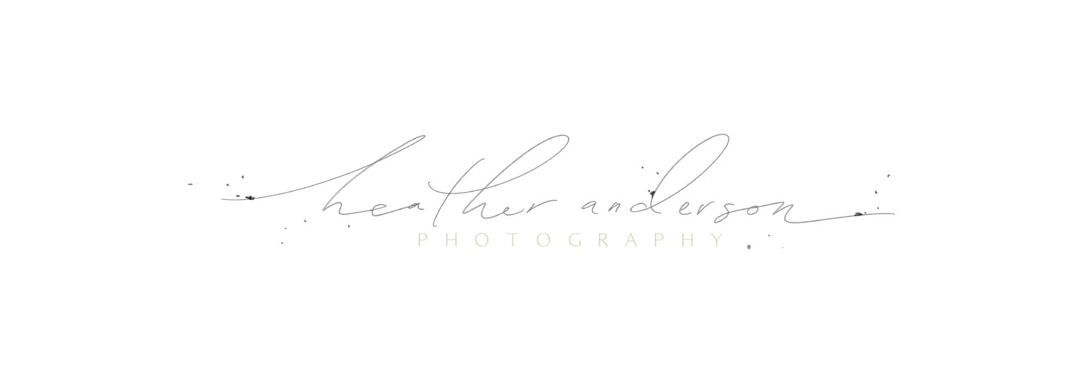 What is a primary and secondary logo - thekatecollective.com